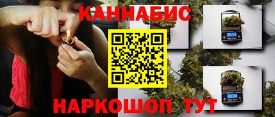 jwh Шебекино
