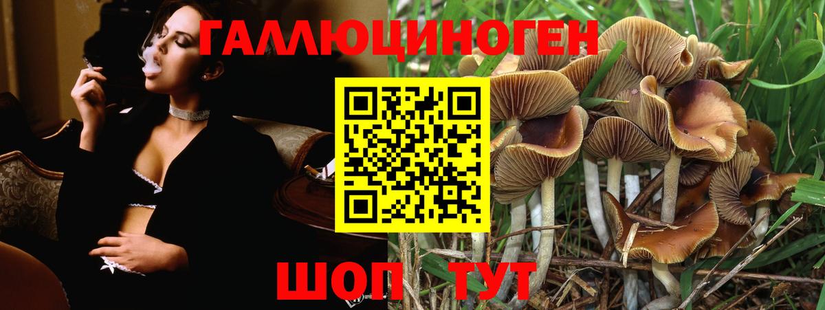 Галлюциногенные грибы Psilocybine cubensis  Псилоцибиновые грибы мицелий  Вход с VPN  Алушта 