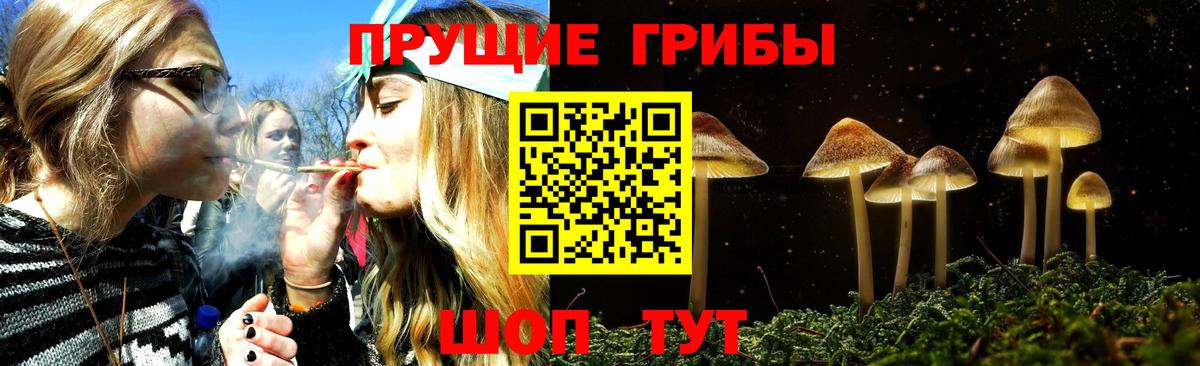 Псилоцибиновые грибы прущие грибы Алушта